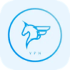 Feima Cracked VPN